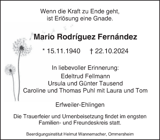 Traueranzeige von Mario Rodriguez Fernandez von saarbruecker_zeitung